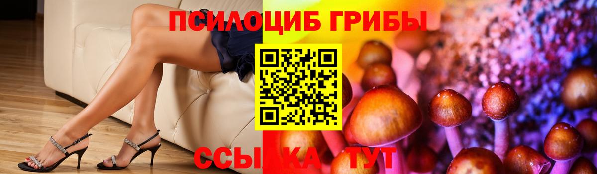 Псилоцибиновые грибы GOLDEN TEACHER  Псилоцибиновые грибы Psilocybine cubensis  Вход с VPN  Котлас 
